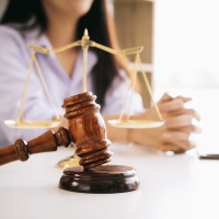 Dziedziczenie - konsultacja (30 min)